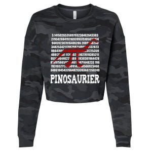 Pi Napple 3 14 Number Symbol For Math Teacher Cute Gift Cropped Pullover Crew