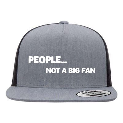 People Not A Big Fan Funny Saying Flat Bill Trucker Hat