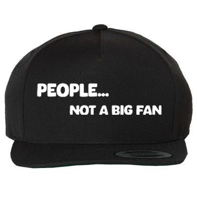 People Not A Big Fan Funny Saying Wool Snapback Cap