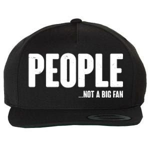 People Not A Big Fan Wool Snapback Cap