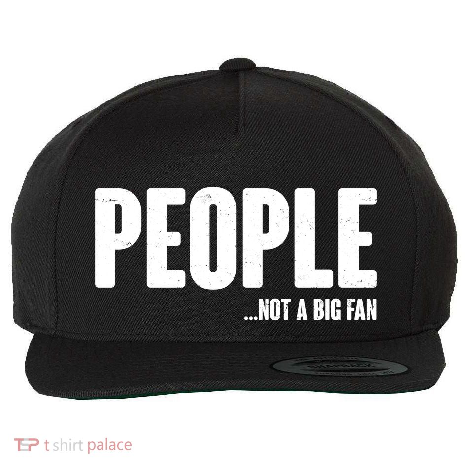 People Not A Big Fan Wool Snapback Cap