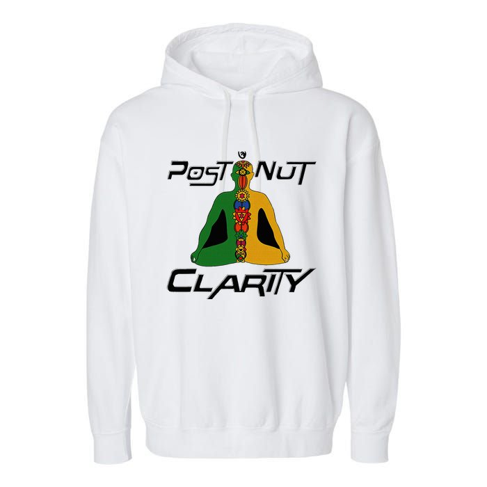 Post Nut Clarity Funny Post Nut Clarity Trending Post Nut Garment-Dyed Fleece Hoodie