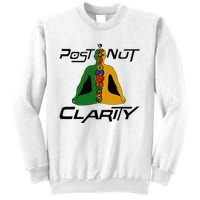 Post Nut Clarity Funny Post Nut Clarity Trending Post Nut Sweatshirt