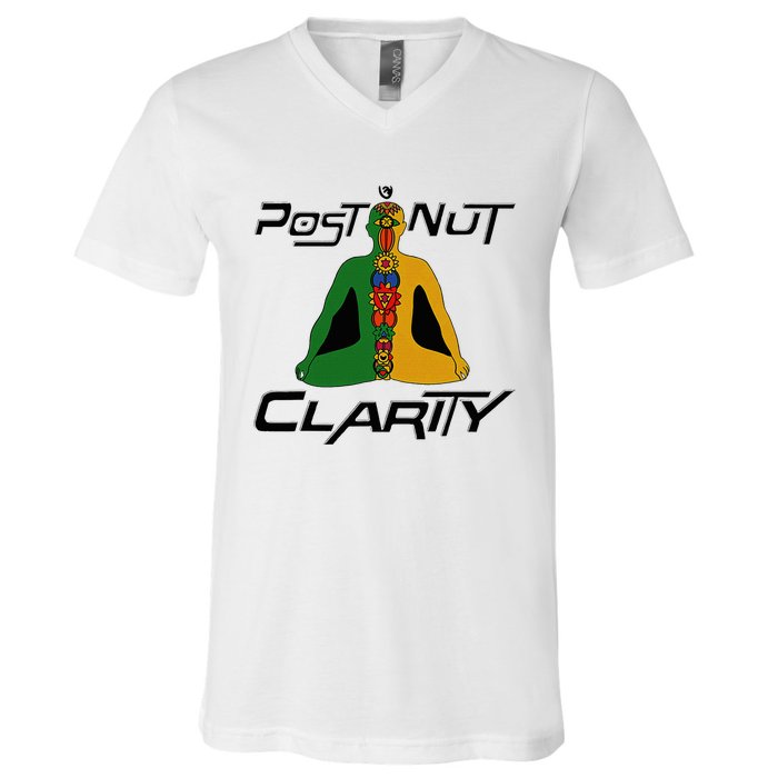 Post Nut Clarity Funny Post Nut Clarity Trending Post Nut V-Neck T-Shirt