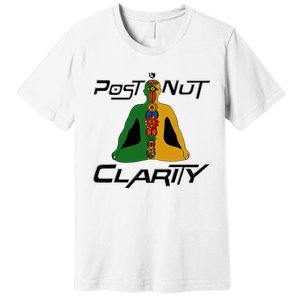 Post Nut Clarity Funny Post Nut Clarity Trending Post Nut Premium T-Shirt