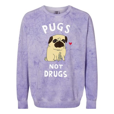 Pugs Not Drugs Funny Present For Dog Lover Tee Pets Colorblast Crewneck Sweatshirt