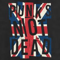 Punks Not Dead British Flag Britain England Adult Drive Performance Visor