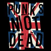 Punks Not Dead British Flag Britain England Wool Snapback Cap