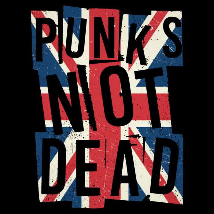Punks Not Dead British Flag Britain England Wool Snapback Cap