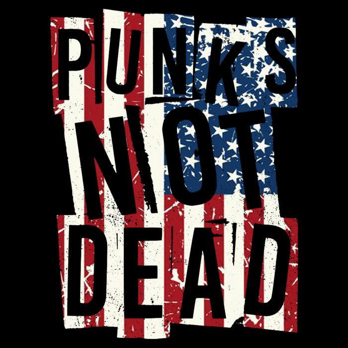 Punks Not Dead USA American Flag 7-Panel Snapback Hat