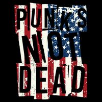 Punks Not Dead USA American Flag Mesh Reversible Basketball Jersey Tank