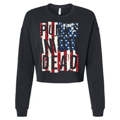 Punks Not Dead USA American Flag Cropped Pullover Crew