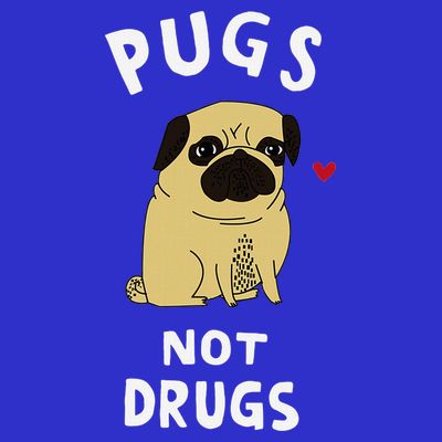 Pugs Not Drugs Funny Present For Dog Lover Pets T-Shirt