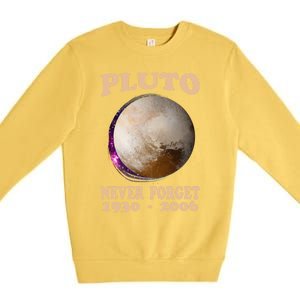 Pluto Never Forget 1930gift2006 Great Gift Premium Crewneck Sweatshirt