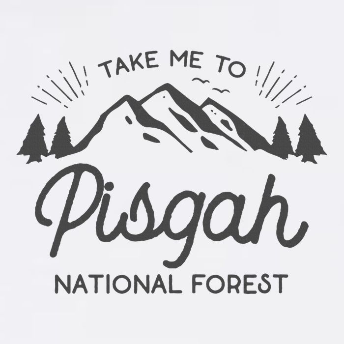 Pisgah National Forest Park North Carolina Mug