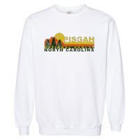 Pisgah National Forest Vintage Retro Garment-Dyed Sweatshirt