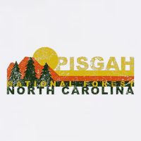 Pisgah National Forest Vintage Retro Mug