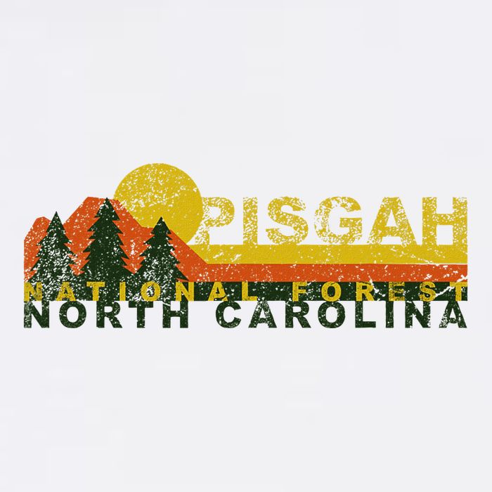 Pisgah National Forest Vintage Retro Mug