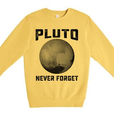 Pluto Never Forget Gift Funny Science Funny Gift Premium Crewneck Sweatshirt