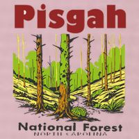 Pisgah National Forest 25L Jumbo Tote