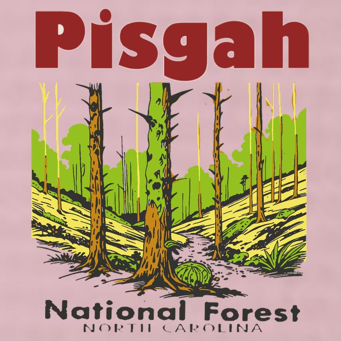 Pisgah National Forest 25L Jumbo Tote
