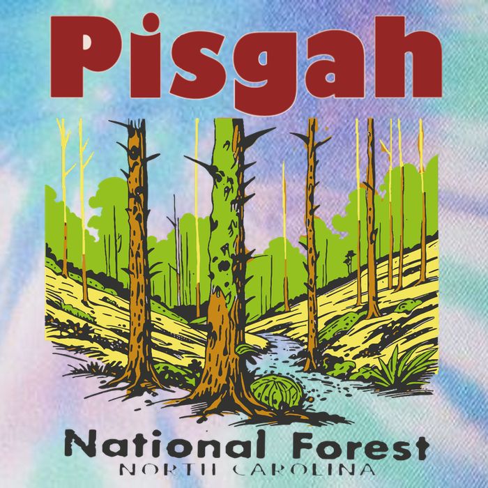 Pisgah National Forest Legacy Tie Dye Trucker Hat