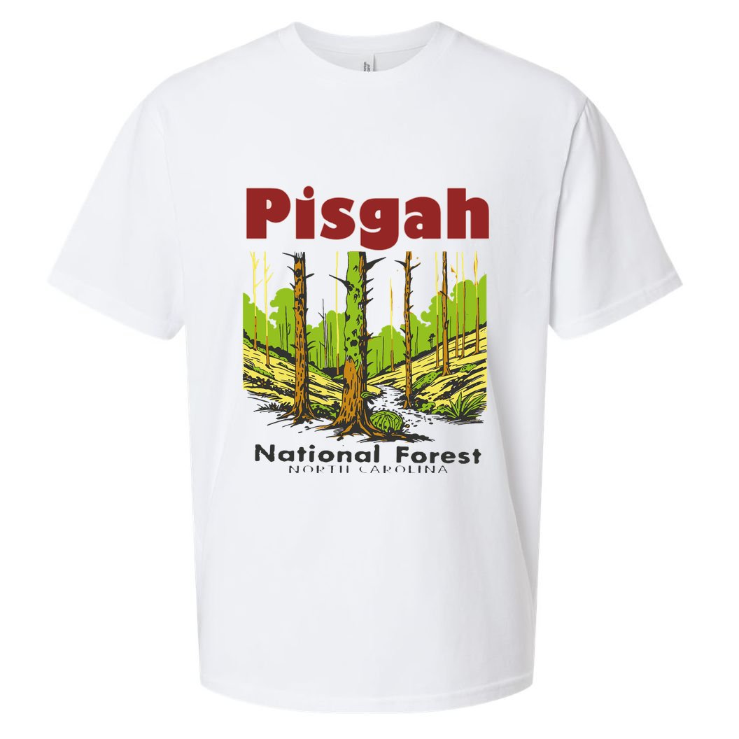 Pisgah National Forest Sueded Cloud Jersey T-Shirt