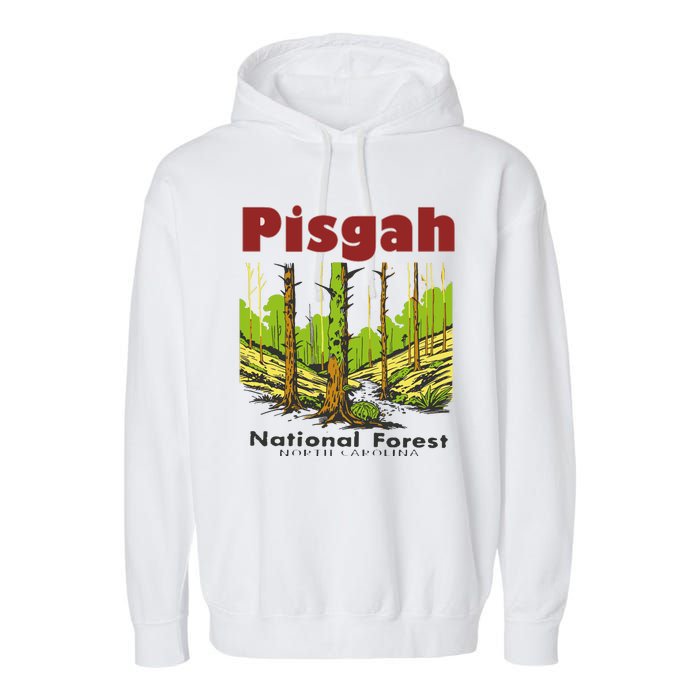 Pisgah National Forest Garment-Dyed Fleece Hoodie