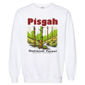 Pisgah National Forest Garment-Dyed Sweatshirt