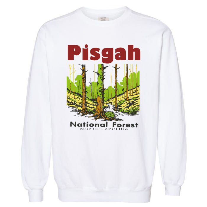 Pisgah National Forest Garment-Dyed Sweatshirt