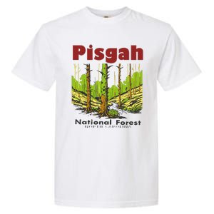 Pisgah National Forest Garment-Dyed Heavyweight T-Shirt