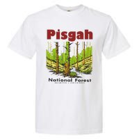 Pisgah National Forest Garment-Dyed Heavyweight T-Shirt