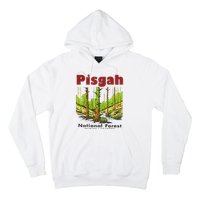 Pisgah National Forest Hoodie