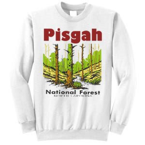 Pisgah National Forest Sweatshirt