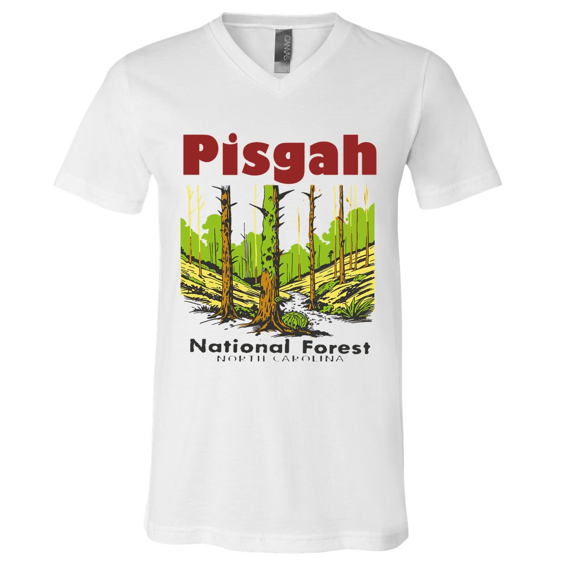 Pisgah National Forest V-Neck T-Shirt
