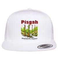 Pisgah National Forest Flat Bill Trucker Hat