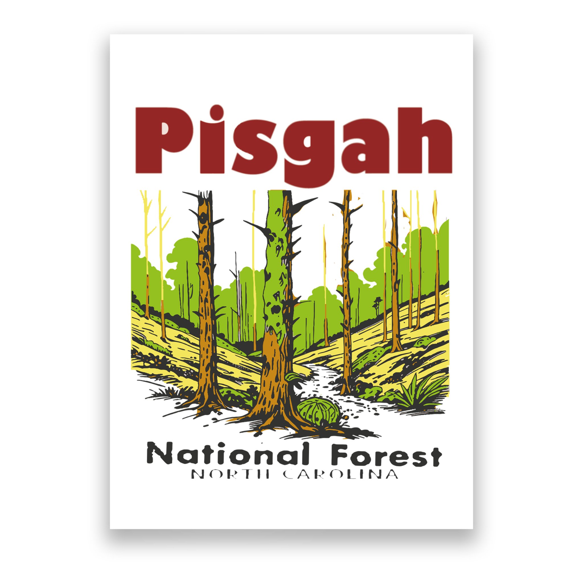 Pisgah National Forest Poster