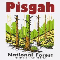Pisgah National Forest Short Acrylic Beanie