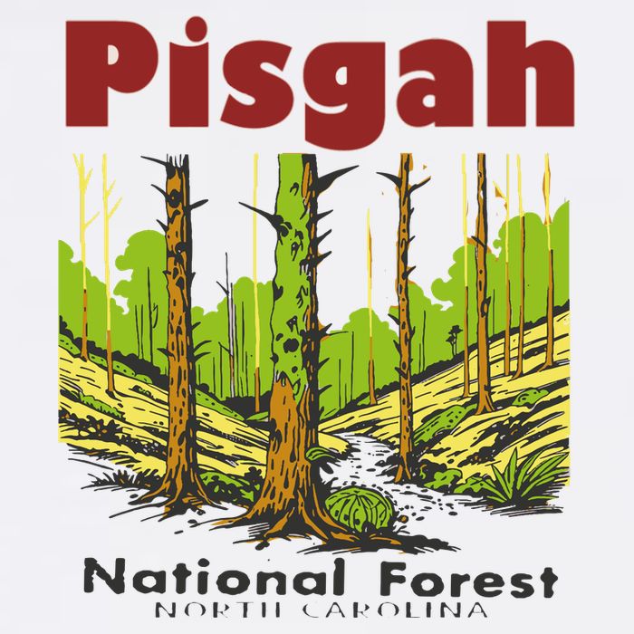 Pisgah National Forest Short Acrylic Beanie