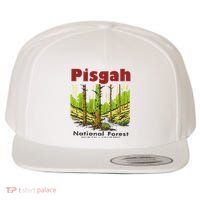 Pisgah National Forest Wool Snapback Cap