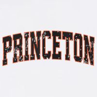 Princeton New Jersey Nj Vintage Athletic Sports Hat