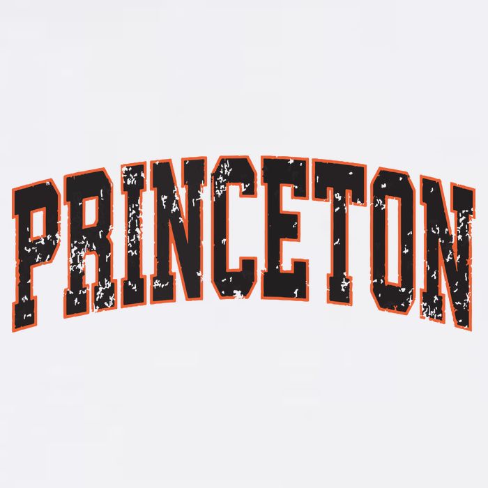 Princeton New Jersey Nj Vintage Athletic Sports Hat