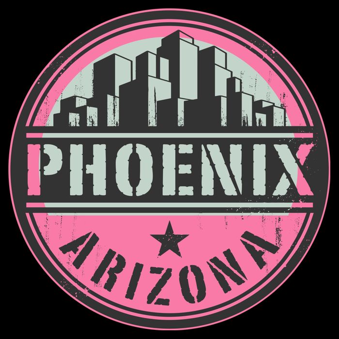 Phoenix Neon Logo Womens T-Shirt