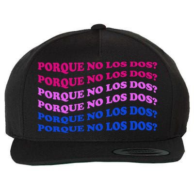 Porque No Los Dos Why Not Both Spanish Mexico Bisexual Pride Gift Wool Snapback Cap