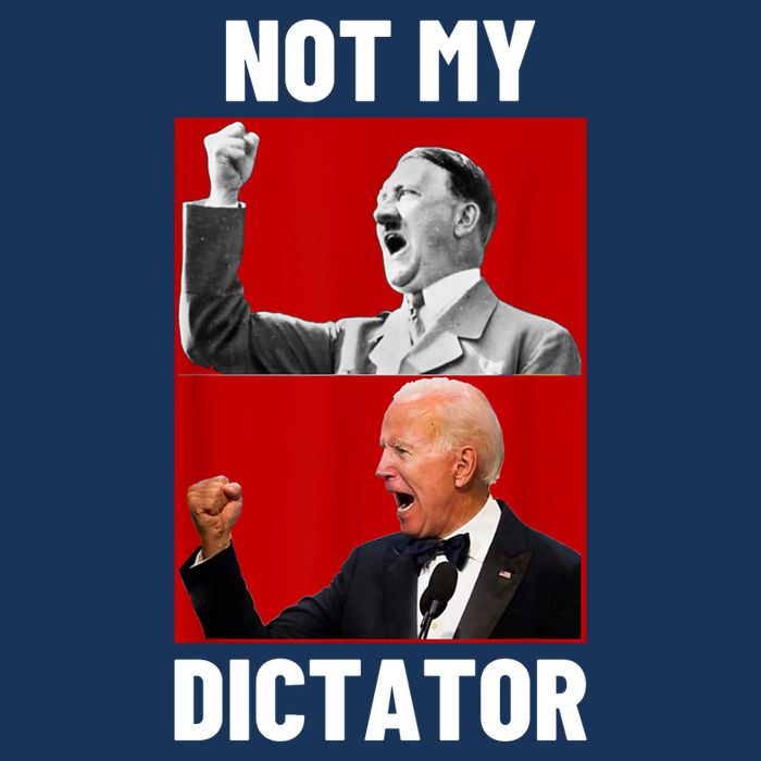 PedoHitler Not My Dictator Funny Joe Biden Sustainable Beanie