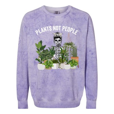 Plants Not People Messy Bun Skull Gardening Plant Skeleton Gift Colorblast Crewneck Sweatshirt