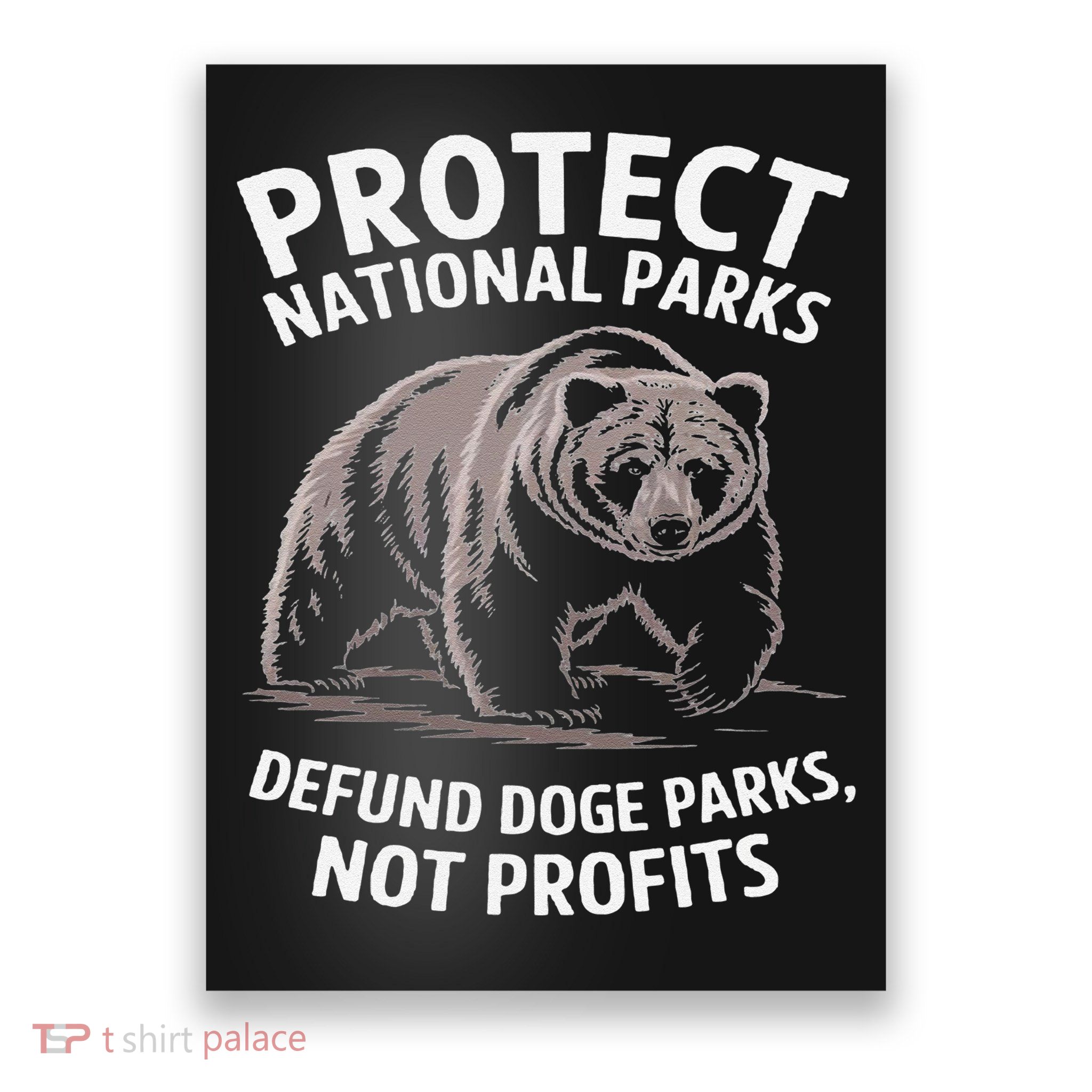 Protect National Parks Defund DOGE Support Not Profits Bear Poster