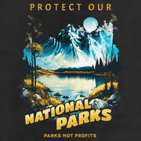 Protect National Parks Parks Over Profits Adult Drive Performance Visor