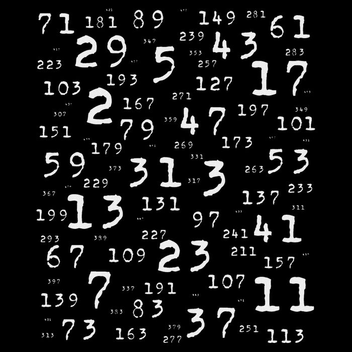 Prime Numbers Teacher Nerd Geek Science Student Logic Maths Drawstring Bag