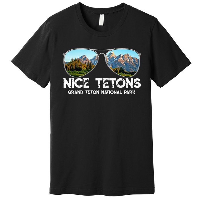 Punny Nice Tetons Teton Mountain Premium T-Shirt